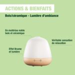 Difusor Pranarom cera ceramica3